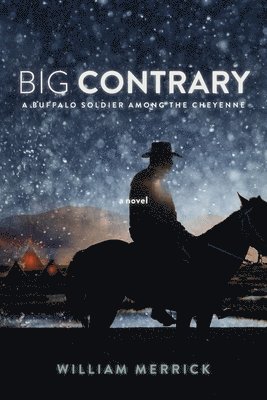 bokomslag Big Contrary