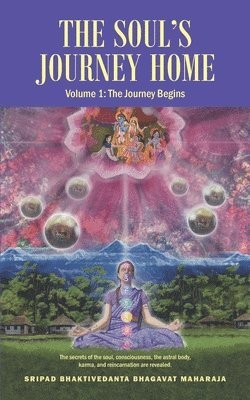 bokomslag Soul's Journey Home