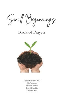bokomslag Small Beginnings