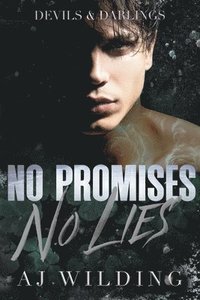 bokomslag No Promises, No Lies