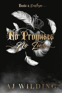 bokomslag No Promises, No Lies (Discreet Feather Edition)