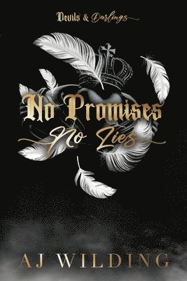 bokomslag No Promises, No Lies (Discreet Feather Edition)
