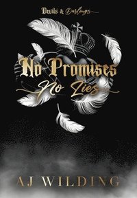 bokomslag No Promises, No Lies (Discreet Feather Edition): A mafia hockey romance