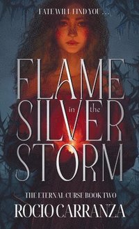 bokomslag Flame in the Silver Storm