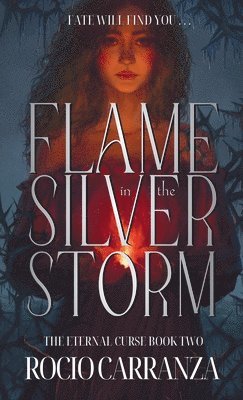 bokomslag Flame in the Silver Storm