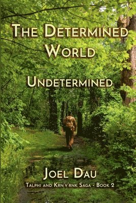 bokomslag Determined World - Undetermined (Book 2)