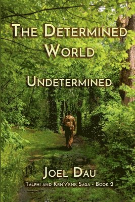 bokomslag The Determined World - Undetermined (Book 2)