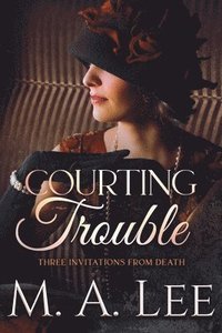 bokomslag Courting Trouble