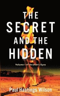 bokomslag Secret and the Hidden