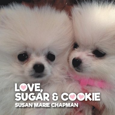 bokomslag Love Sugar & Cookie