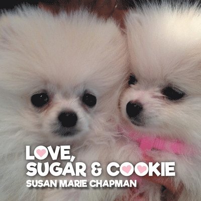 Love Sugar & Cookie