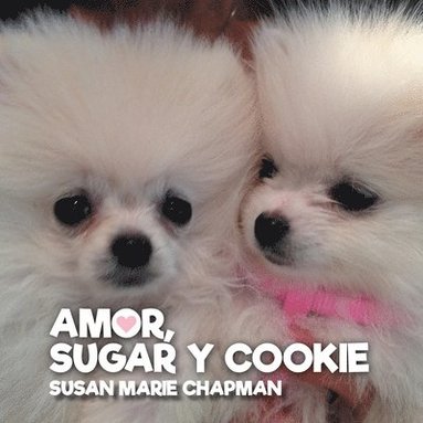 Susan Marie Chapman - Amor, Sugar y Cookie, Häftad