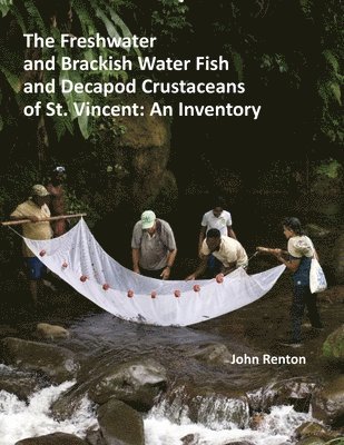 bokomslag Freshwater and Brackish Water Fish and Decapod Crustaceans of St. Vincent