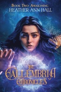 bokomslag The Callembria Chronicles Book Two