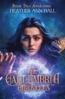 bokomslag Callembria Chronicles Book Two