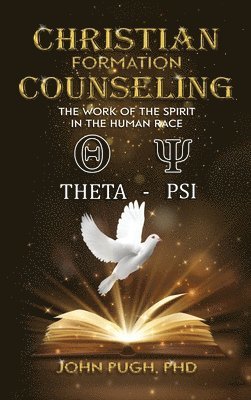 bokomslag Christian Formation Counseling: The Work of the Spirit in the Human Race