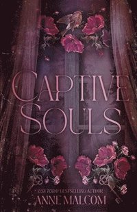 bokomslag Captive Souls