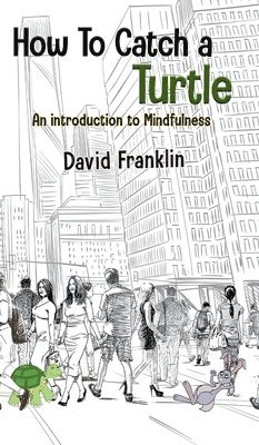 David S. Franklin - How to Catch a Turtle: An Introduction to Mindfulness, Inbunden