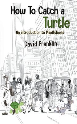 David S. Franklin - How to Catch a Turtle: An Introduction to Mindfulness, Häftad
