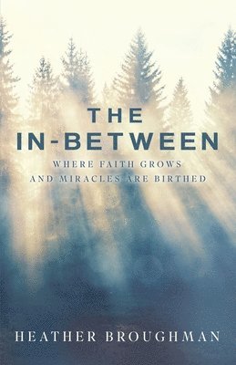 The In-Between: Where Faith Grows and Miracles are Birthed 1