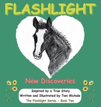 bokomslag Flashlight - New Discoveries