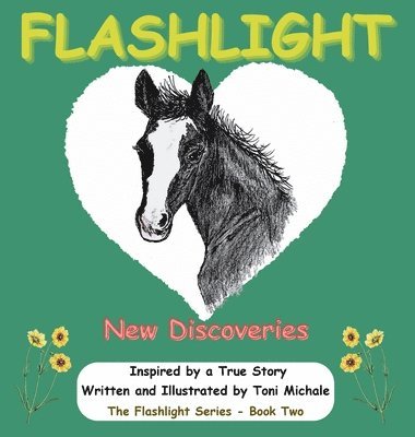 bokomslag Flashlight - New Discoveries