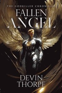 bokomslag Fallen Angel