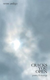bokomslag Cracks You Open