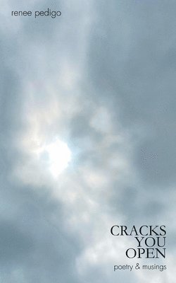 bokomslag Cracks You Open