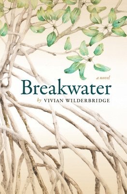 bokomslag Breakwater