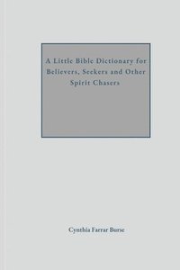 bokomslag Little Bible Dictionary for Believers, Seekers and Other Spirit Chasers