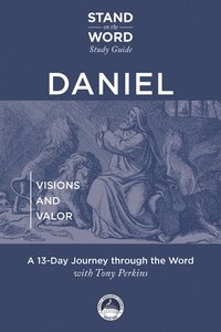 bokomslag Daniel: Visions and Valor