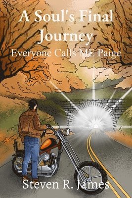 James - Soul's Final Journey, Häftad