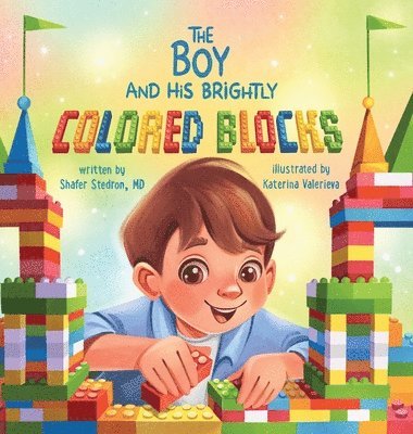 Shafer Stedron - Boy and His Brightly Colored Blocks, Inbunden