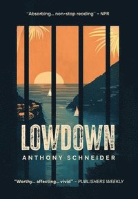 bokomslag Lowdown
