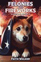 bokomslag Felonies and Fireworks