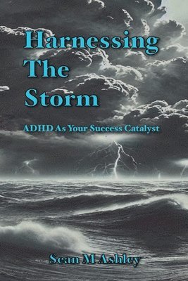 bokomslag Harnessing The Storm