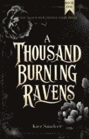 bokomslag Thousand Burning Ravens