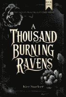 bokomslag Thousand Burning Ravens