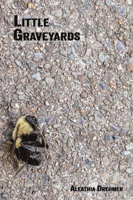 Aleathia Drehmer, Michele McDannold - Little Graveyards, Häftad