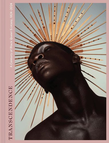 Phillip A. Townsend - Transcendence, Inbunden