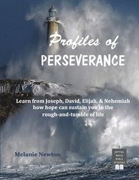 bokomslag Profiles of Perseverance: Learn from Joseph, David, Elijah, & Nehemiah how hope can sustain you in the rough-and-tumble of life