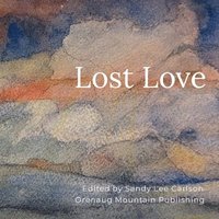 bokomslag Lost Love