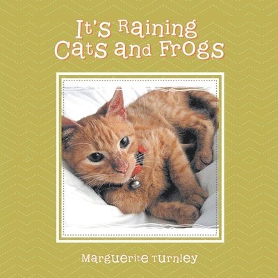 Marguérite Turnley, Marguérite Turnley - It's Raining Cats and Frogs, Häftad
