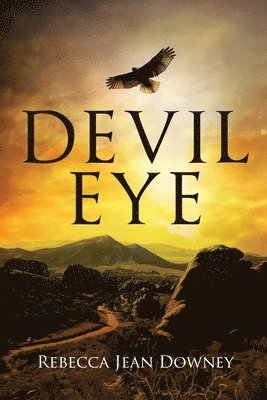 bokomslag Devil Eye