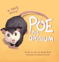 bokomslag Poe The Opossum - A True Story