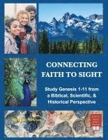 bokomslag Connecting Faith to Sight: Study Genesis 1-11 from a Biblical, Scientific, & Historical Perspective