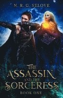 bokomslag Assassin and the Sorceress