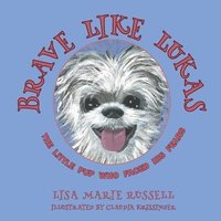 bokomslag Brave Like Lukas