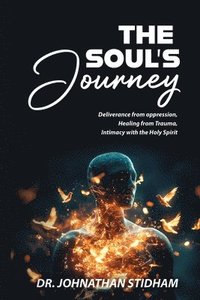 bokomslag Soul's Journey